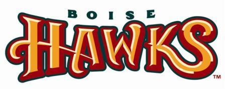 Boise Hawks Green (Small).jpg